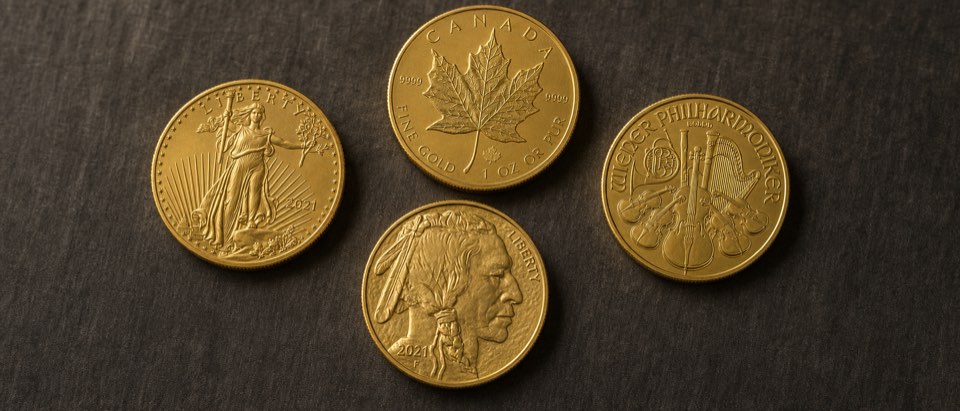 Home Storage Gold IRAs
